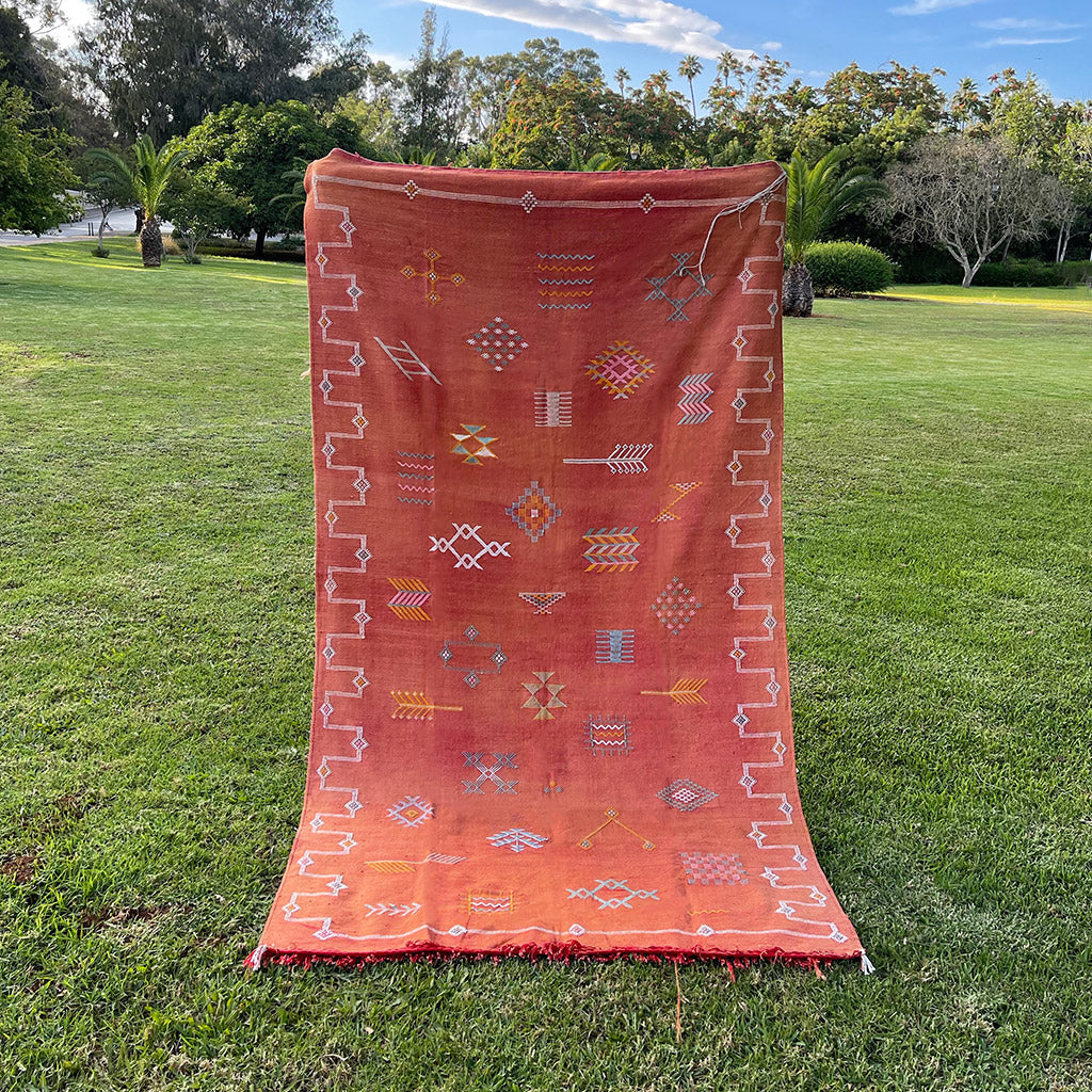 Orange Moroccan sabra rug with traditional Berber motif, set against a backdrop of grass trees - Moroccan Interior