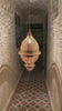Video showing a Ornate Moroccan brass lamp hanging from the ceiling in the hallway of an old home in Marrakesh - Moroccan interior