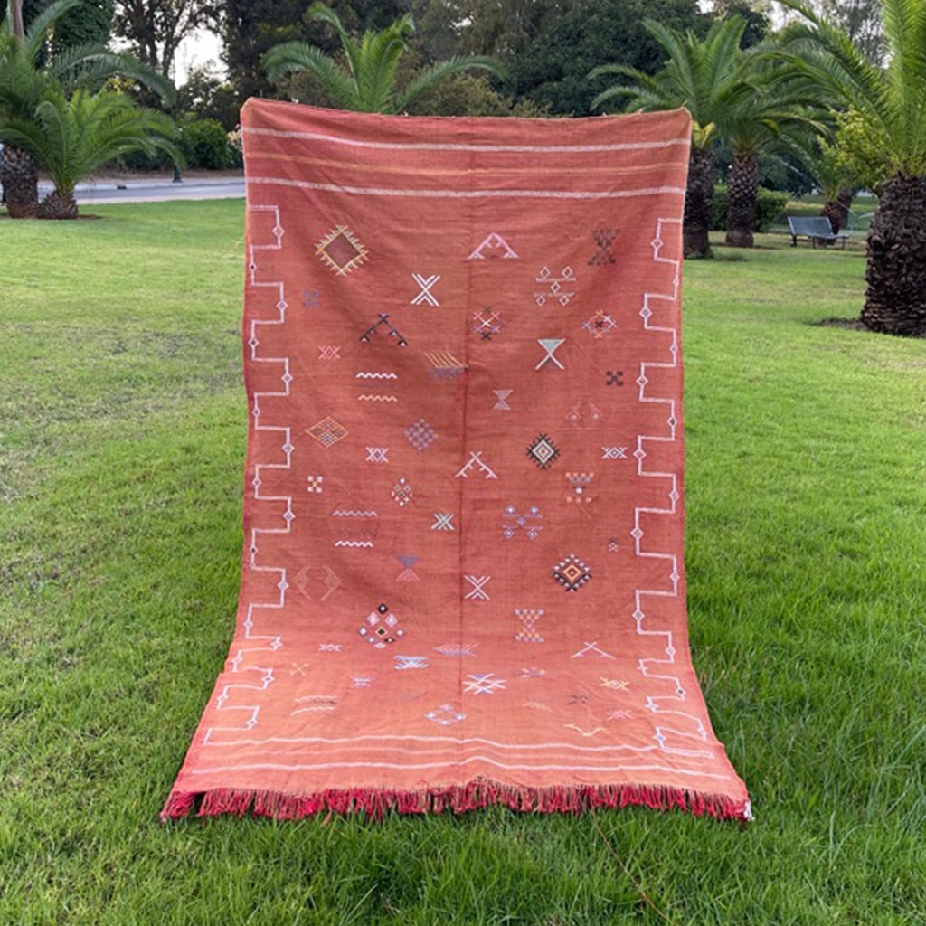 Full view of a rust-toned Moroccan rug displayed upright on grass, featuring intricate Berber symbols and stepped white borders with red fringe