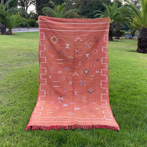 Full view of a rust-toned Moroccan rug displayed upright on grass, featuring intricate Berber symbols and stepped white borders with red fringe