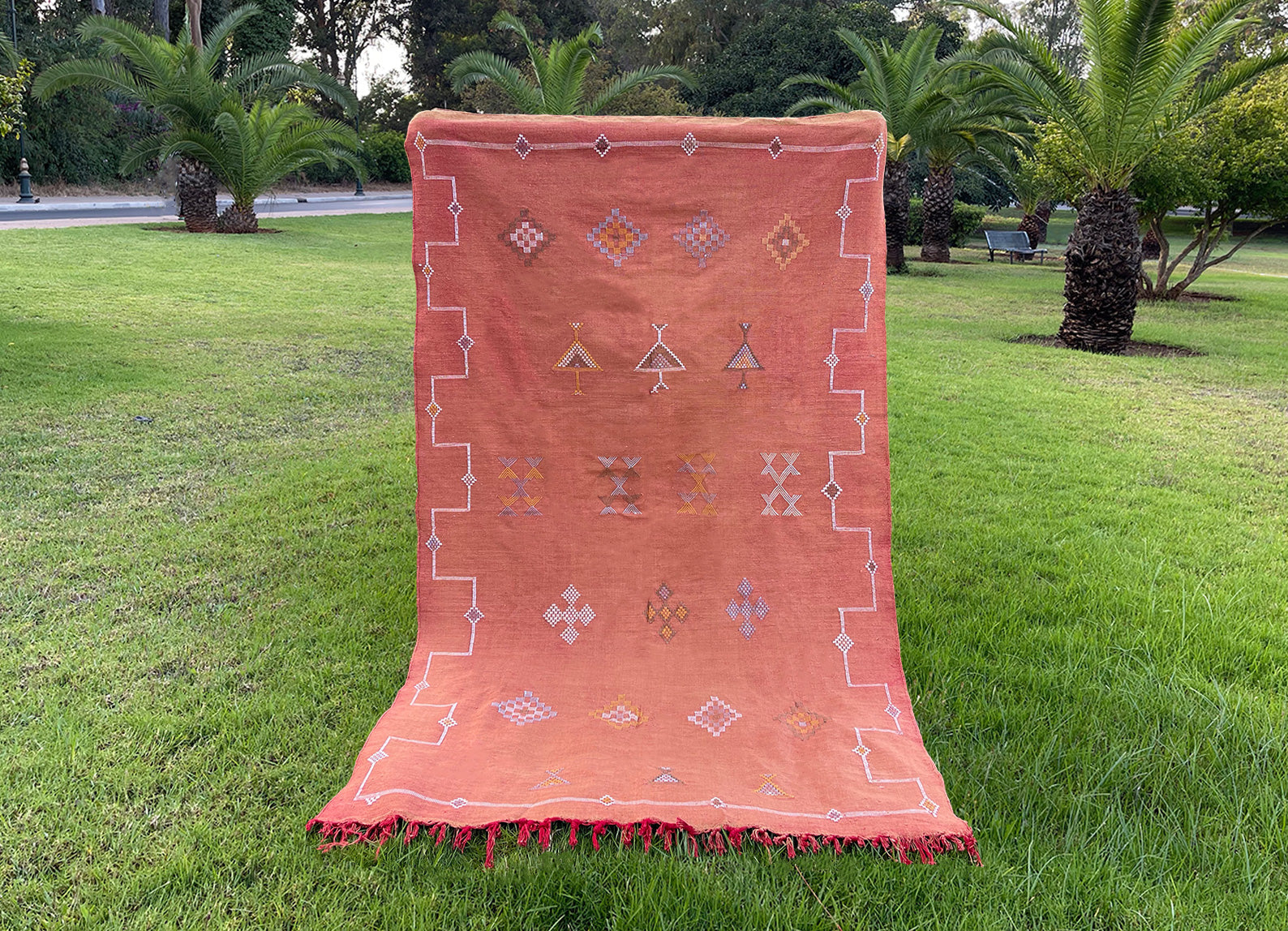 Orange Moroccan sabra rug featuring traditional Berber motif, set against a backdrop of grass trees - Moroccan Interior